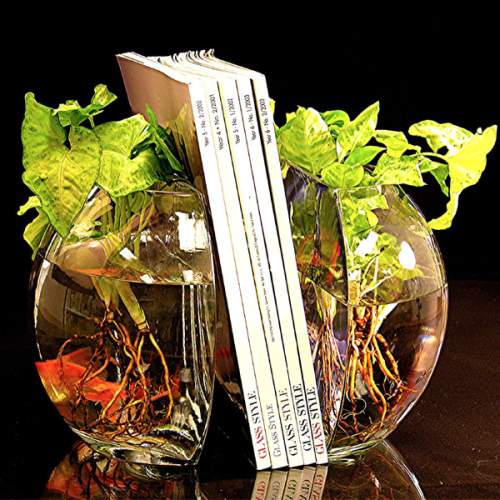 Fish Bowl Bookends