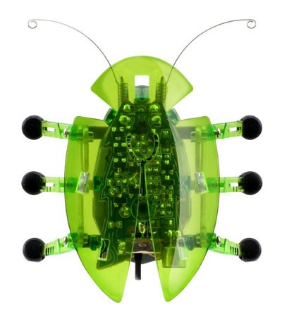 Robotic Bug