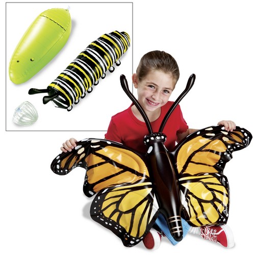 Inflatable Butterfly Life Cycle