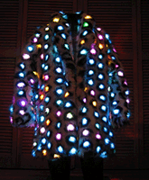color changing coat
