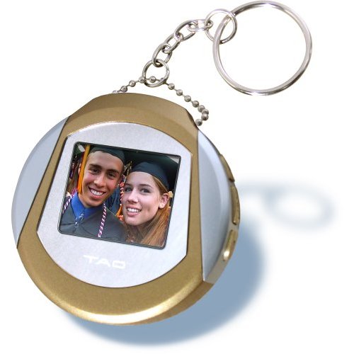 Digital Picture Keychain