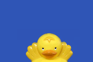 Bath Pal Ducky Duck Doll
