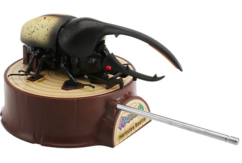 Rechargeable R/C Beetle Battle