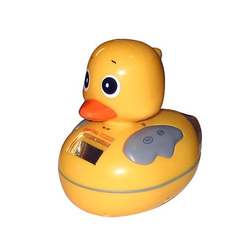 Duck Floating Radio/ Thermometer