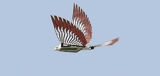 RC Flying Bird Cybird
