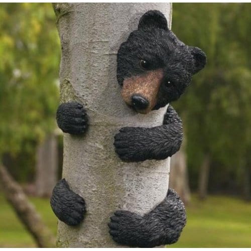 BLACK BEAR TREE FACE 