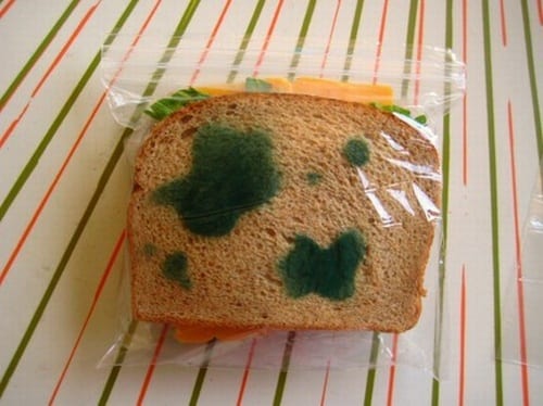 Anti-Theft Sandwich Bags