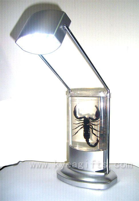 Unique-LED-Reading-Lamp-with-Real-Black-Scorpion
