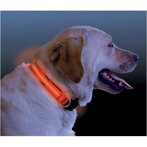 LED Dog Collar