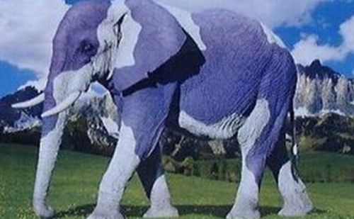 Proporta Elephant Camouflage