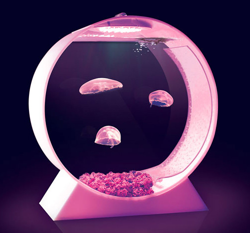 jellyfish tank