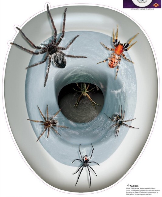 spider toilet