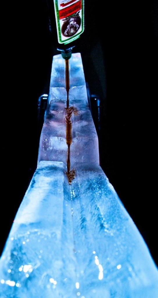 Illuminated Ice Luge Kit