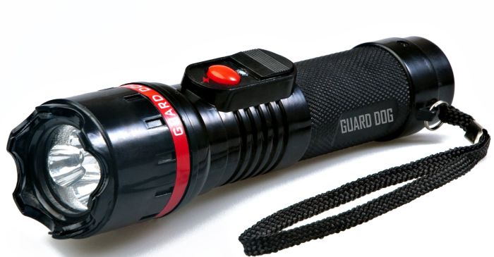 Stun Gun Flashlight with Concealed Inner-Stun Technology
