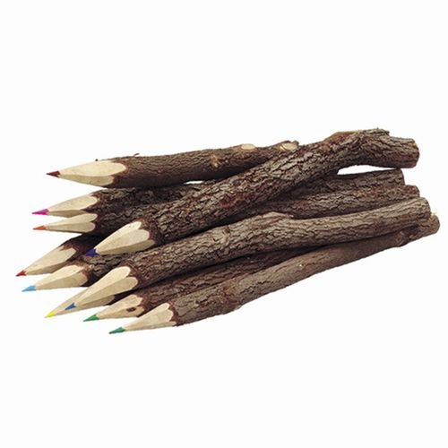 10 Colored Twig Pencils 10 Colors 8 inch Twig-uums Whimsical