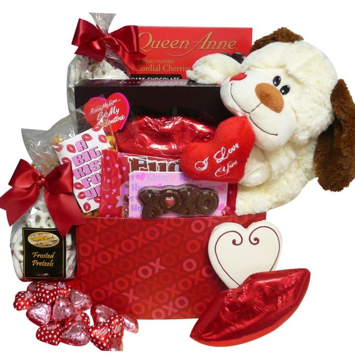 A Big Kiss For You! Plush Puppy Care Package Gift Box - Valentine's Day