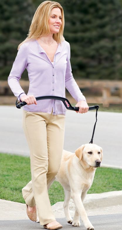 The Dog Trainer's Leash