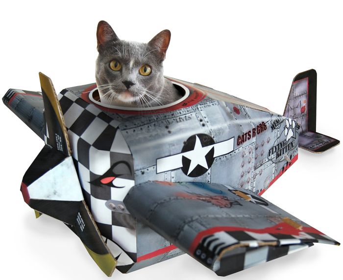 AIRPLANE CAT HOUSE