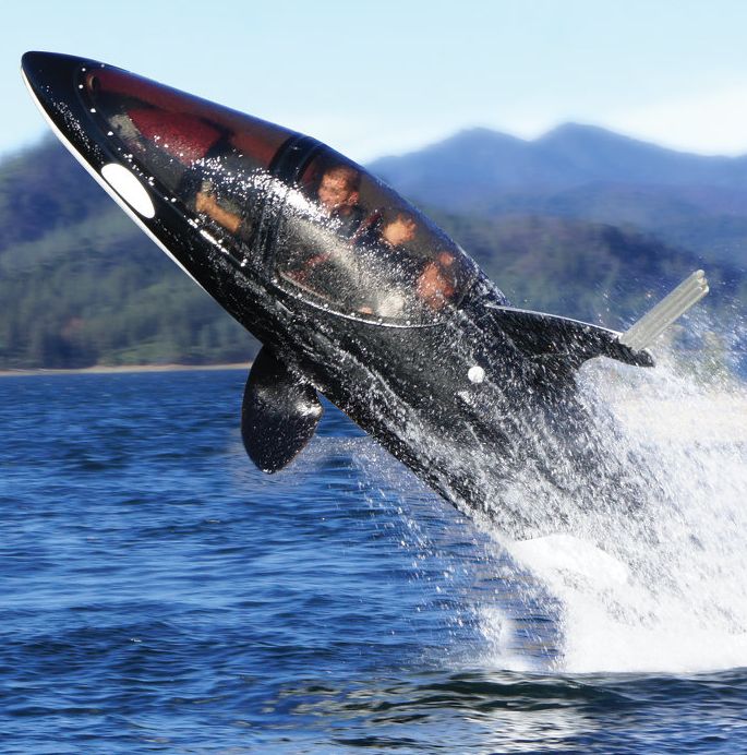 The Killer Whale Submarine