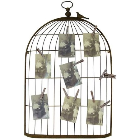 Metal Bird Cage Greeting Card, Photo Display with Clips
