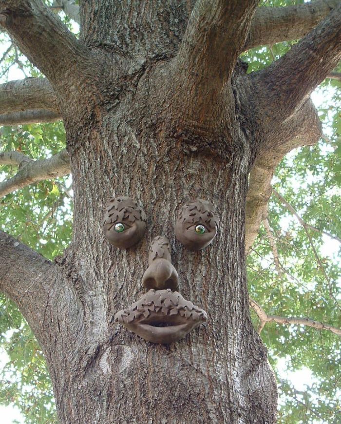 Genuine Tree Peeple Mr. Mapleshade Tree Face