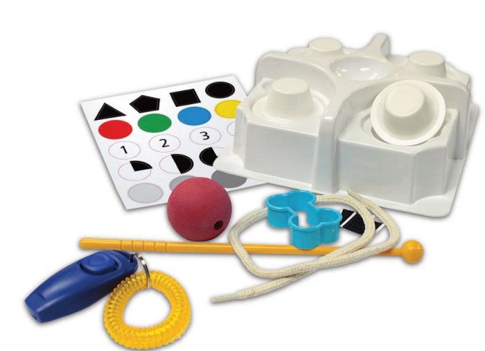 Dog School Pet Science Kit by Wild!