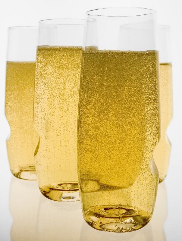 Govino Shatterproof Champagne Flute Wine Glass