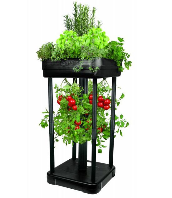 Upside Down Tomato Planter and Patio Garden System