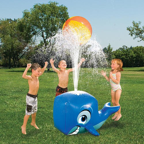 Spray 'n Splash Whale