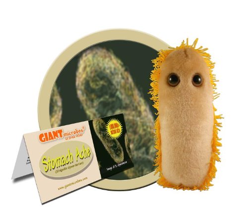 Giant Microbes Stomach Ache (Shigella)
