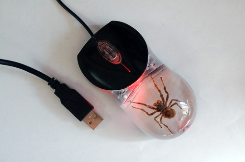 Real Bug Computer Mouse