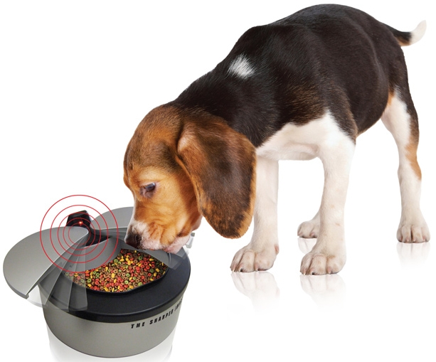 Motion Activated Pet Bowl