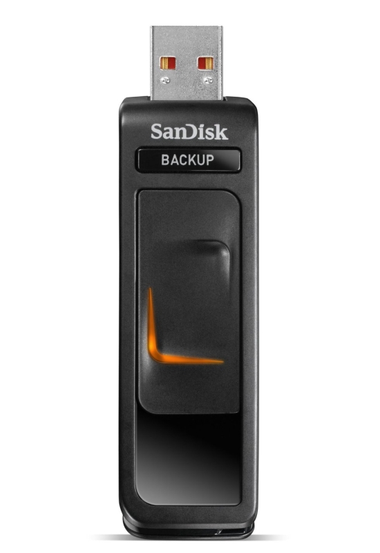SanDisk Ultra Backup 64 GB USB 2.0 Flash Drive 