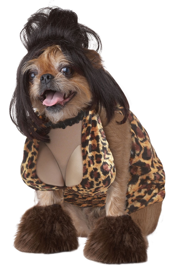 PET20120-The-Lady-Is-A-Tramp-Dog-Costume-large