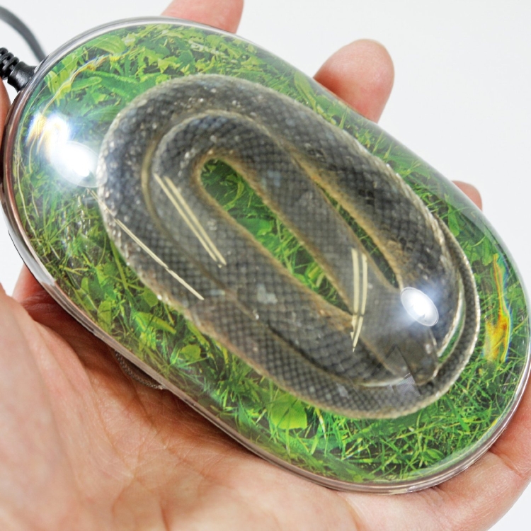 Snake Computer Mouse with Grass Print Background