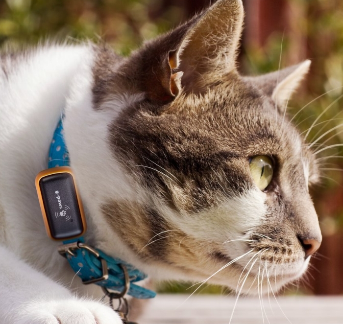G-Paws Pet GPS Tracker