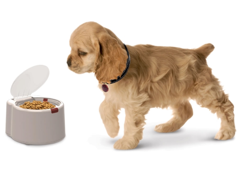 The Microchip Activated Pet Feeder