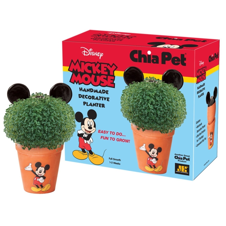 Mickey Mouse Planter