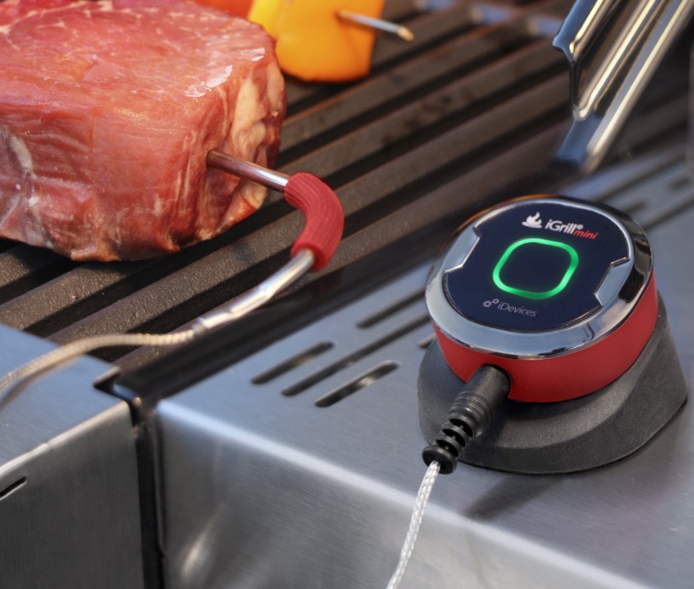 iGrill Thermometer