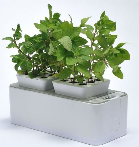 ZeroSoil Mini Indoor Garden