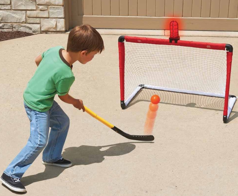 The Light And Horn Hockey Net