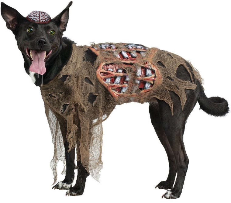 Fun World Zombie Dog Costume