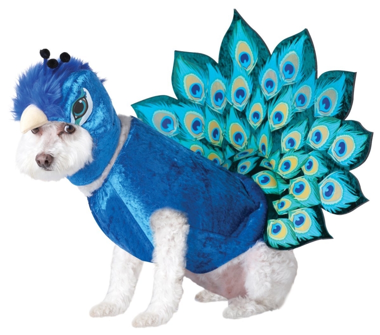 Peacock Dog Costume