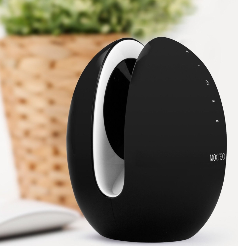 Portable Bluetooth Speaker with Built