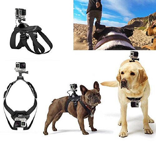 Dog Fetch Harness Chest Strap Belt Mount