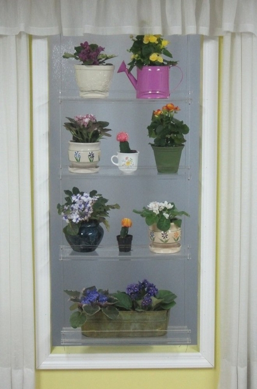 Hanging Window Plant Shelves