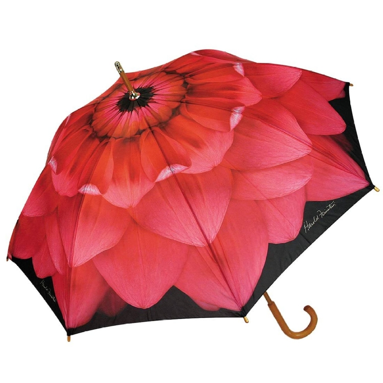 Harold Feinstein Pink Dahlia Cane Automatic Open Umbrella