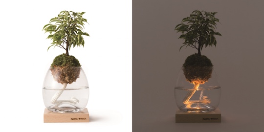 pianta-stanza-botanical-candle-torch-3