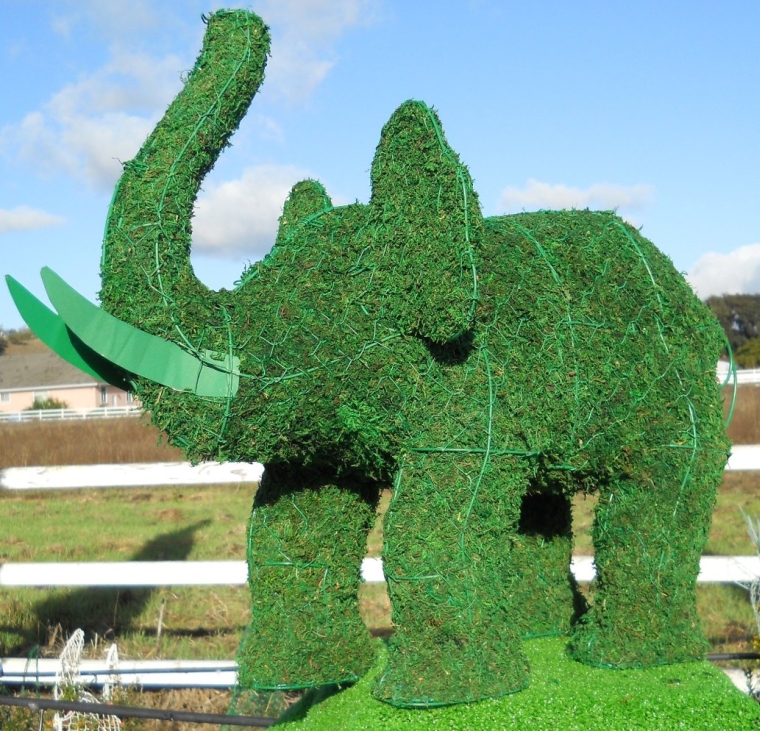Moss Topiary Frame , Handmade Animal Decoration