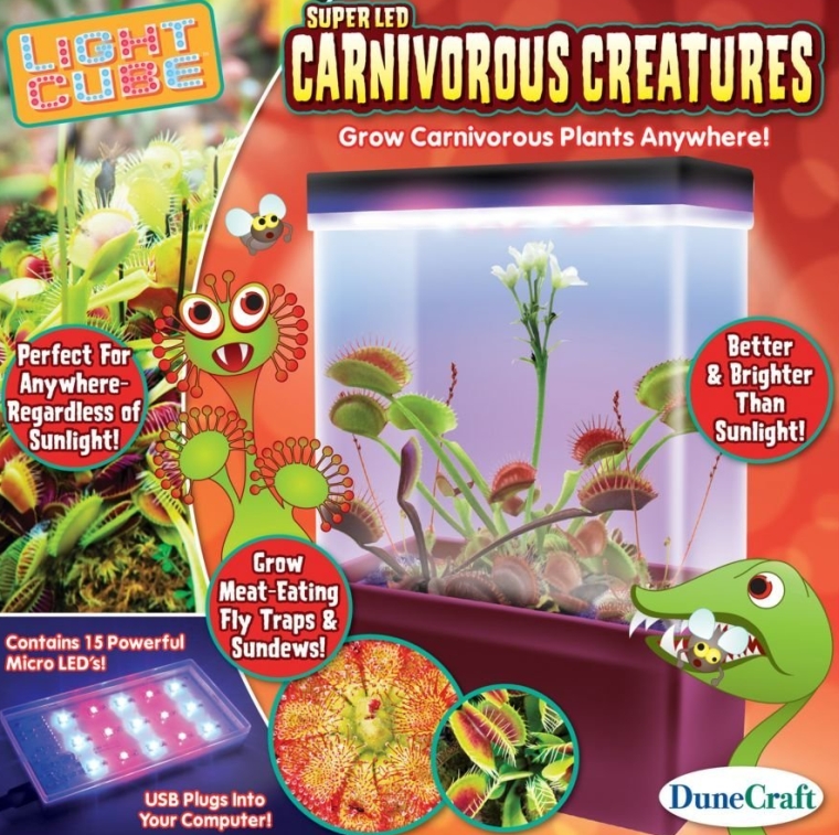 Carnivorous Creatures LED Light Cube Terrarium